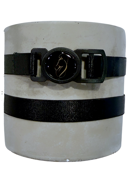 Black Satin Showband